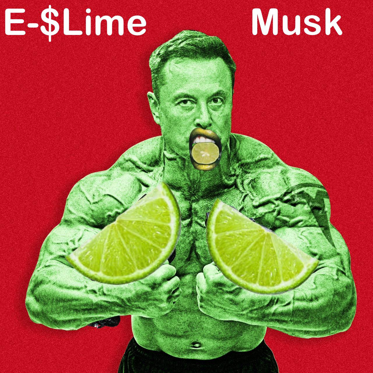 LIME Meme